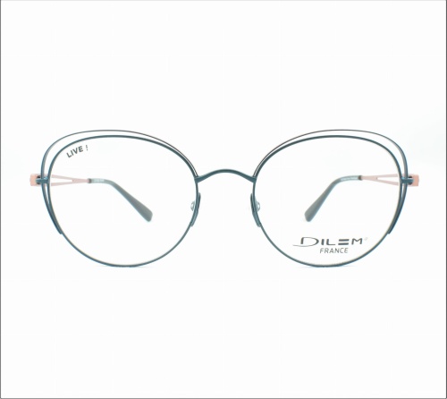 Okulary korekcyjne Dilem Z1J112LD 3FLk04D 53-19-142 1499 zł www.terapiawidzenia.com
