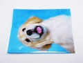 ściereczka labrador.JPG