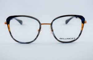 Bellinger Arc-X1 C.454