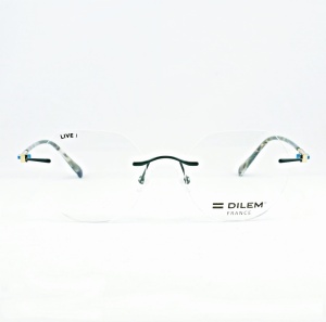 DILEM 3FLR01D